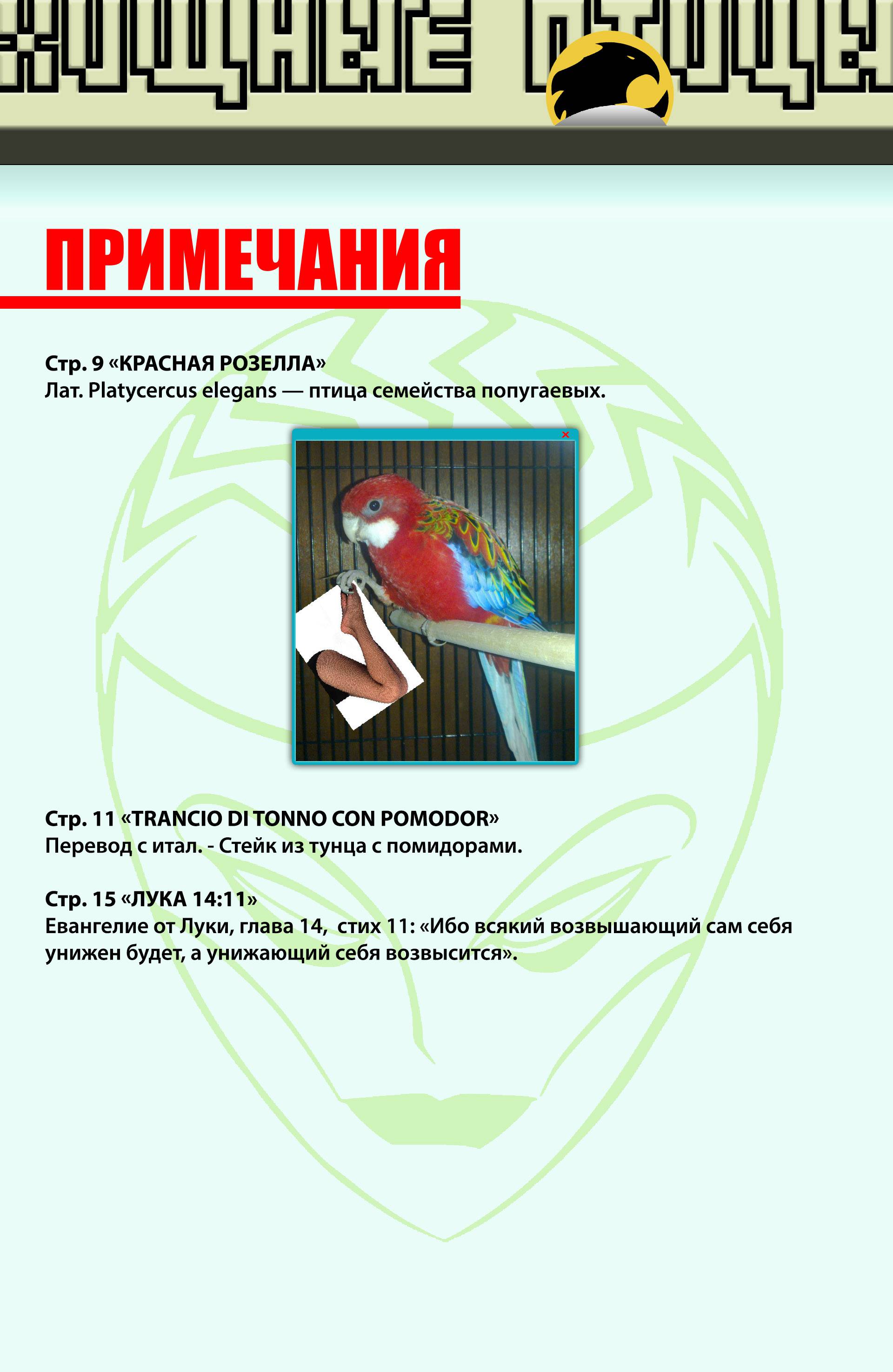 Хищные Птицы №56 онлайн