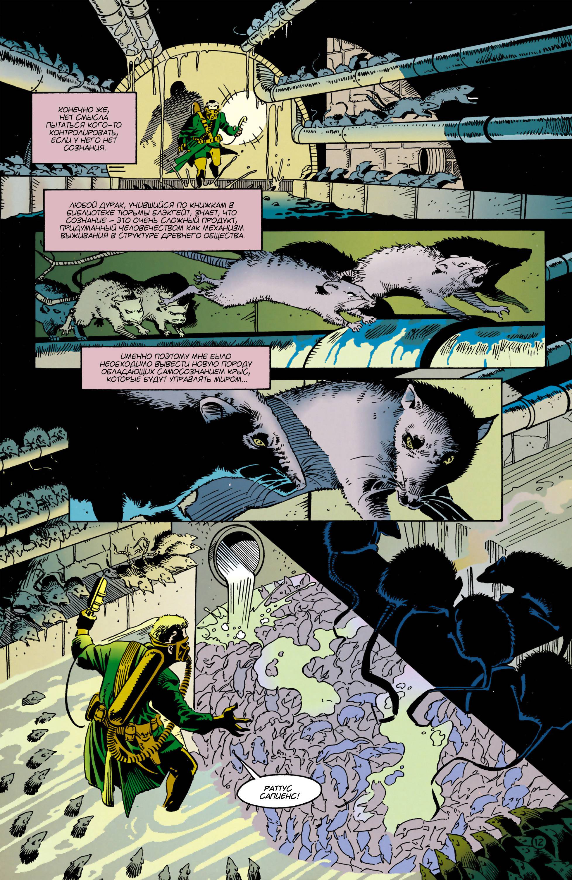 Женщина-Кошка №26 онлайн