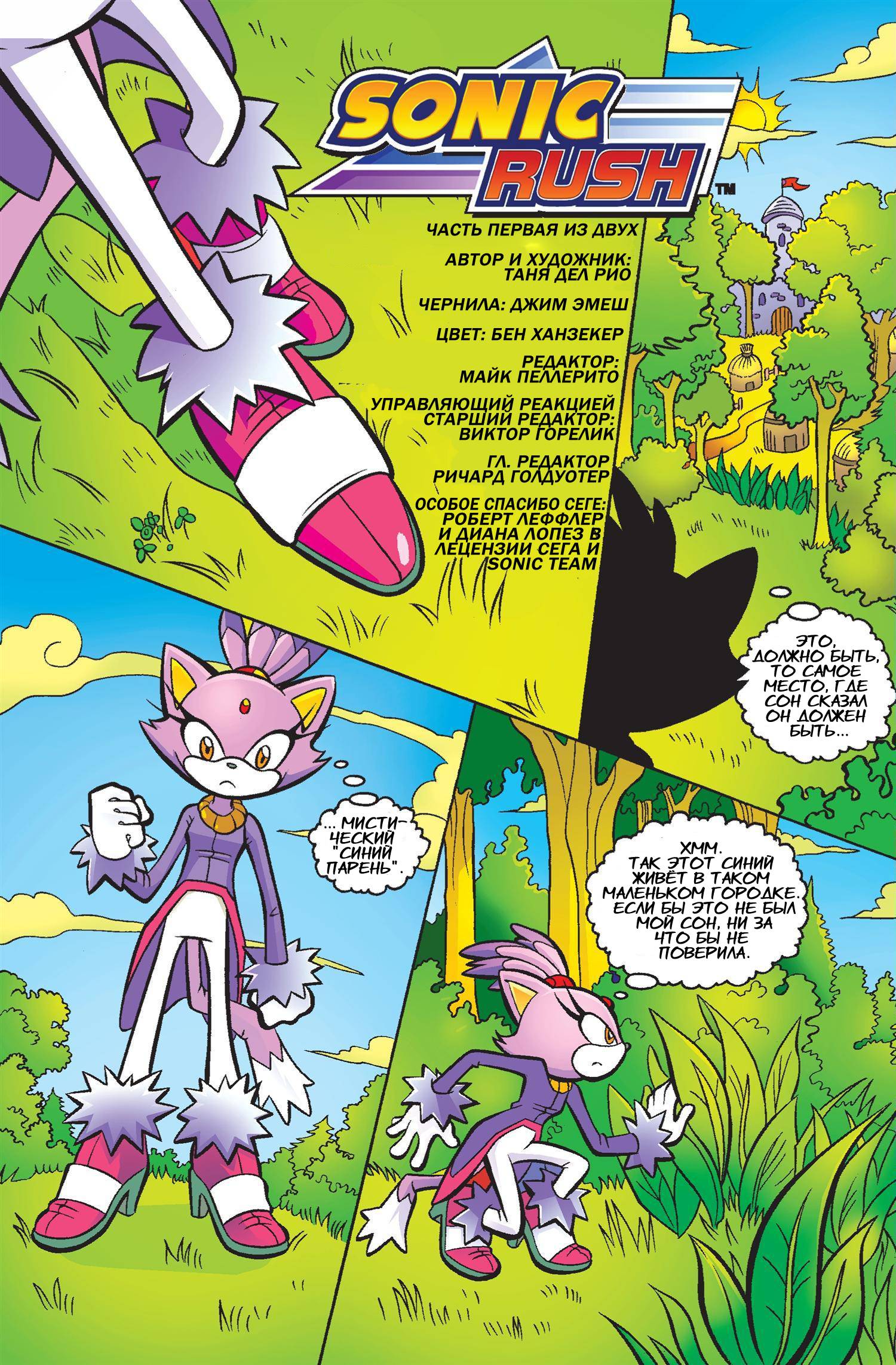 Sonic selects. Sonic Арчи комиксы Блейз. Комикс Sonic Rush 2. Read online Sonic the Hedgehog Comic Issue - # 160. Rush in Sonic Comics.