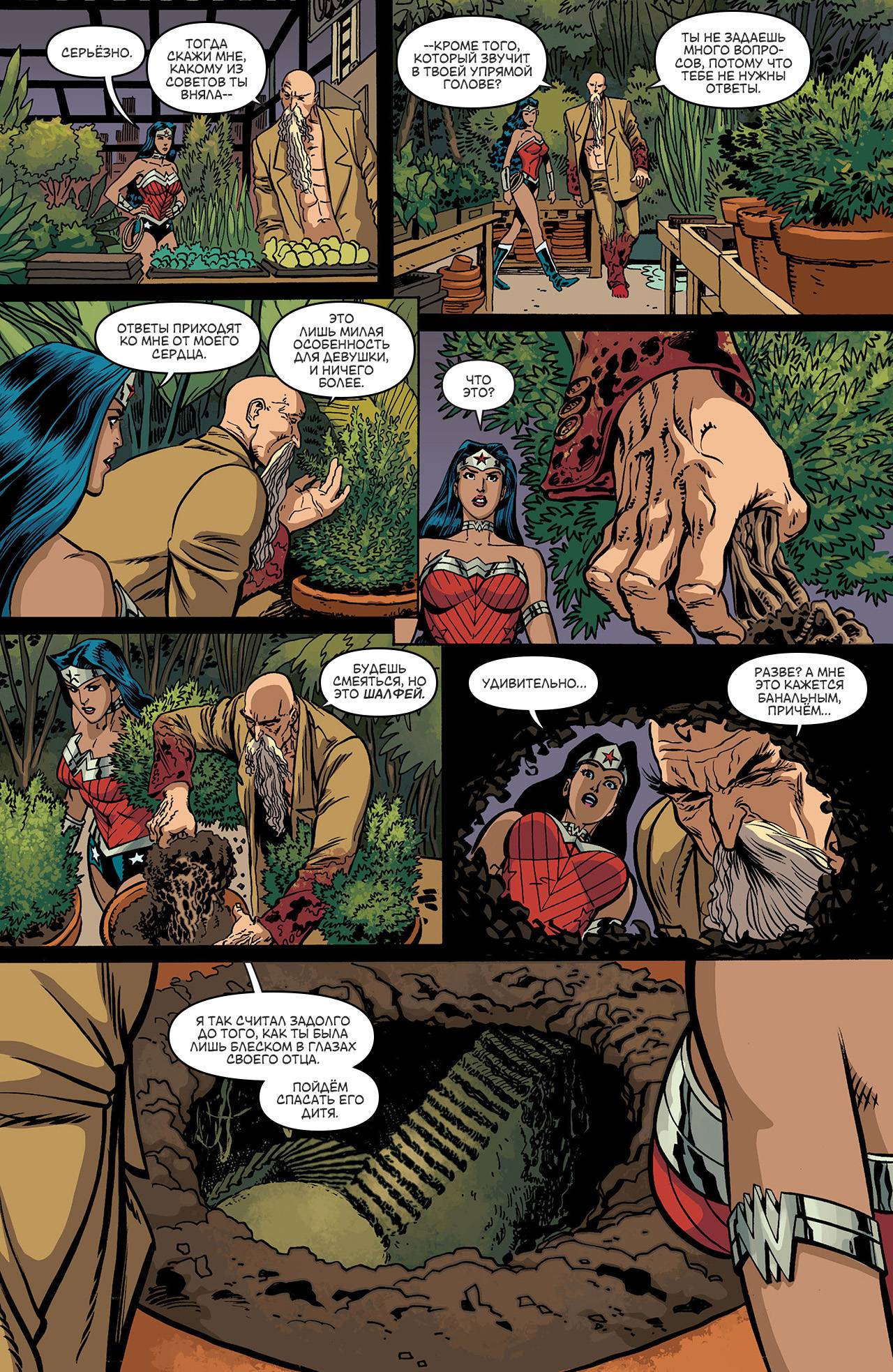 Чудо-Женщина №17 онлайн